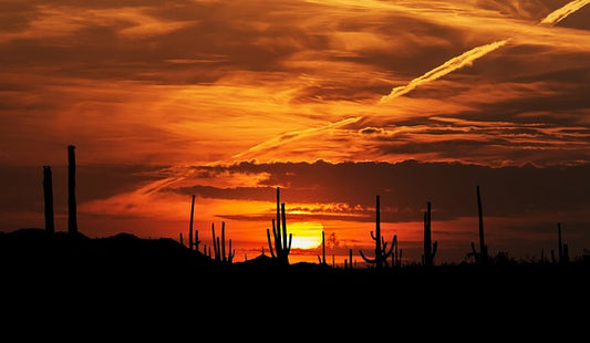 Discovering Tucson: Exploring Arizona's Second City and Its Rich Cultural Heritage